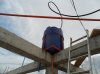 conv_11092.jpg