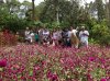 conv_11162.jpg