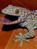 conv_11355.jpg