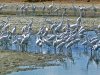 conv_2780.jpg
