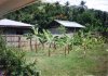conv_3932.jpg