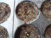 conv_10709.jpg
