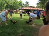 conv_11153.jpg