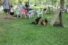 conv_11154.jpg