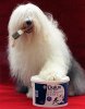 Dulux Dog.jpg