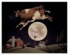 cow jumps.jpg