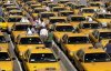 yellow cabs..jpg