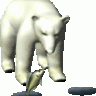 Whitebear