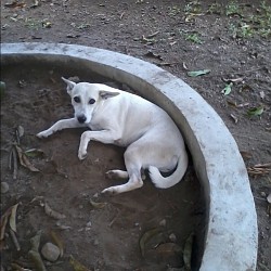 2016-10-10 09.22.34.jpg