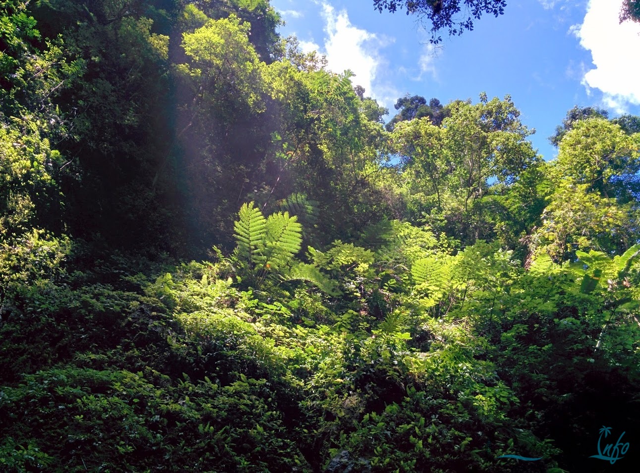 Casaroro Falls, Valencia