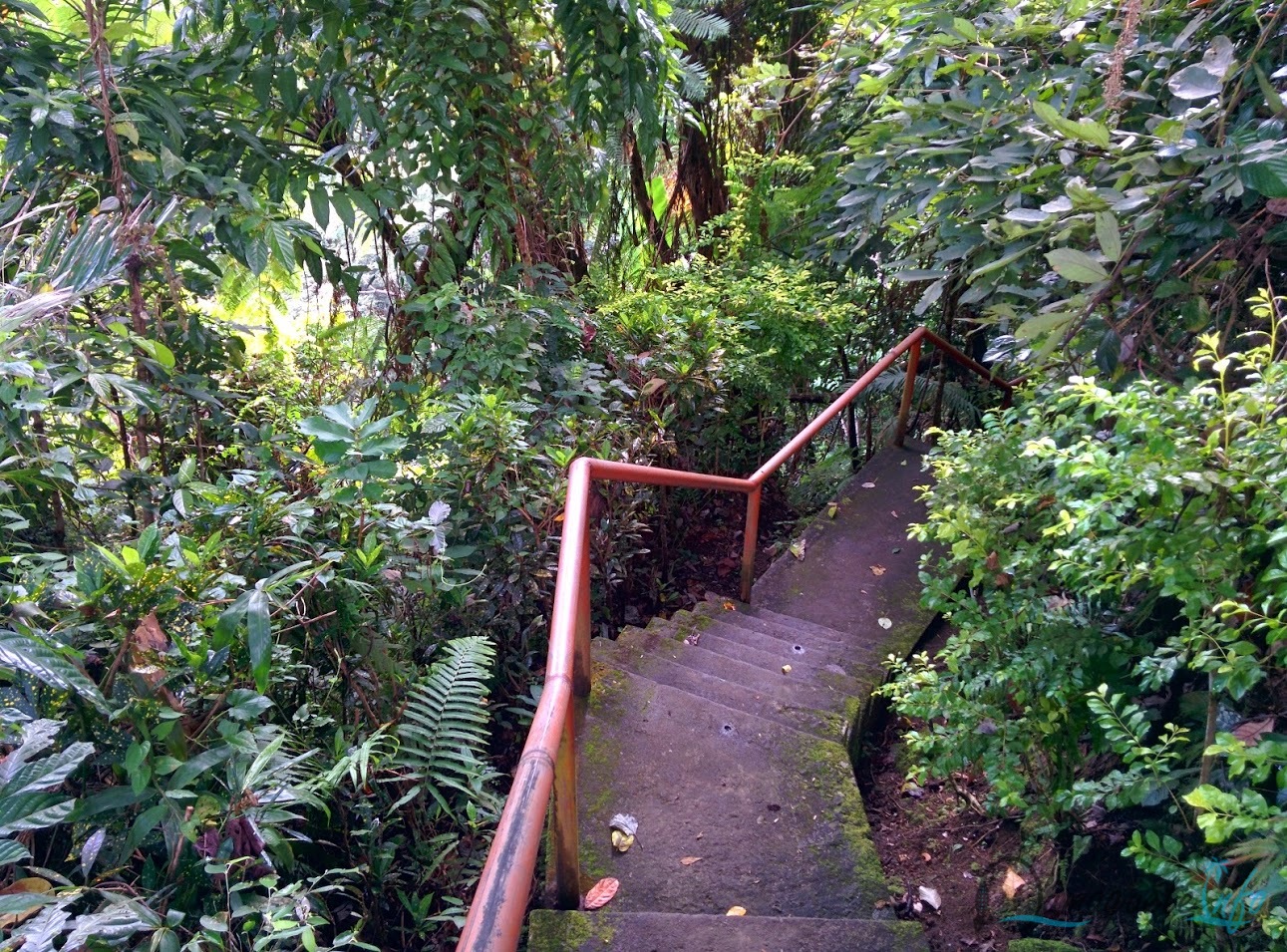 Casaroro Falls, Valencia
