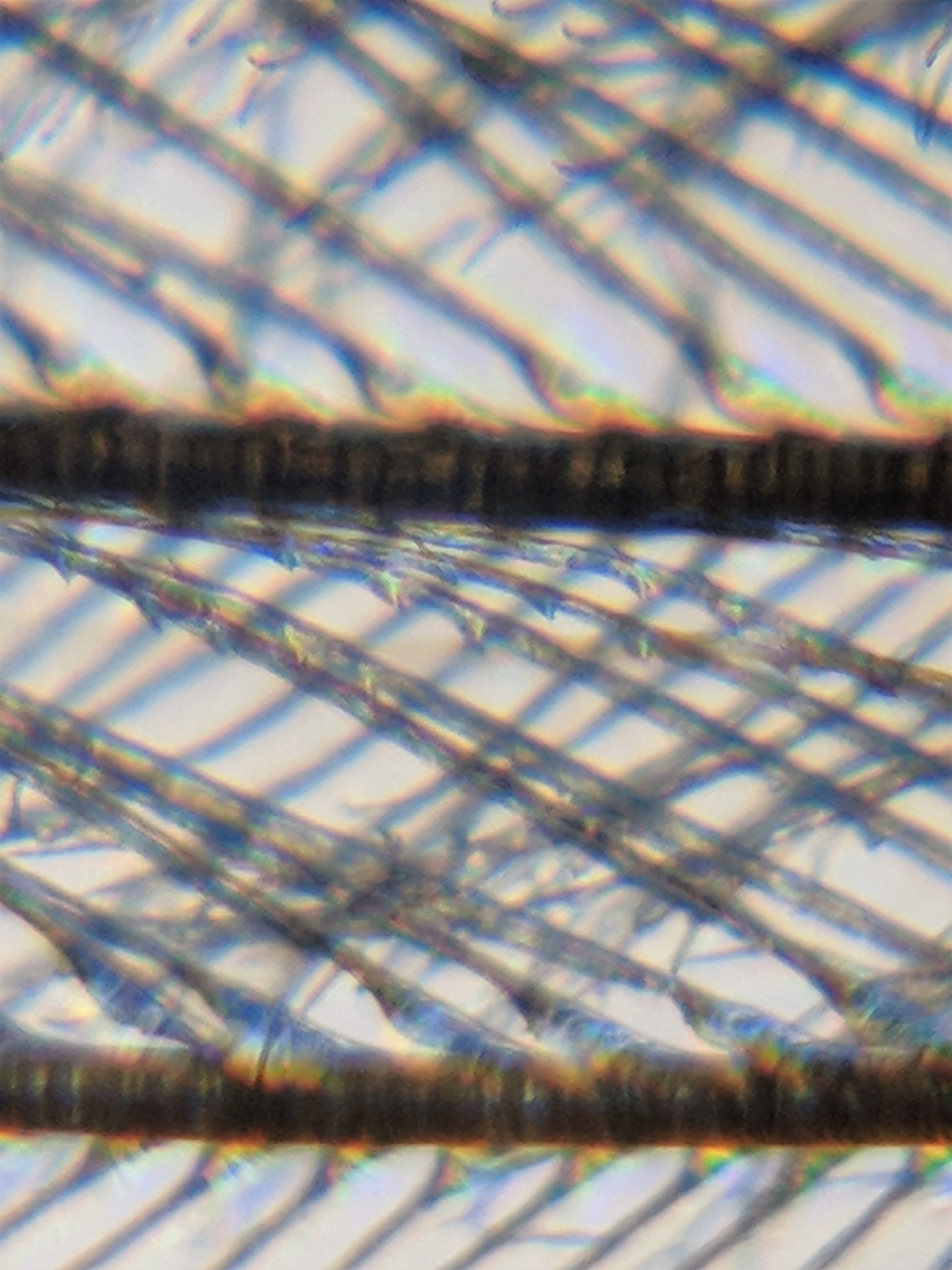 Down Feather