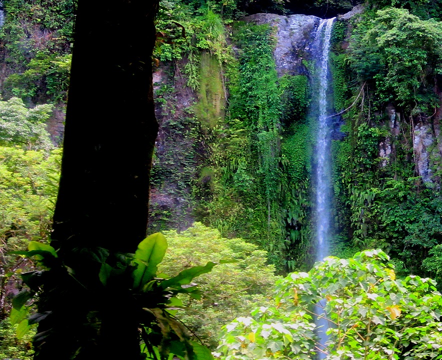Negros Oriental water falls