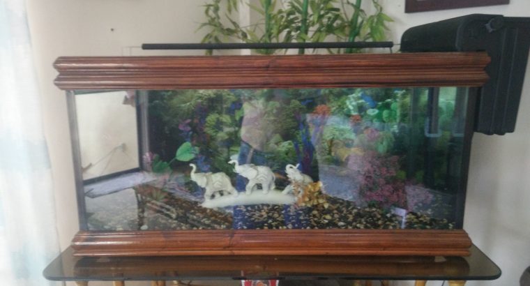 AQUARIUM 47 GALLON // 178 LITERS — size 89 x 50 x 47 cm // with or with out stand SOLD