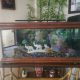AQUARIUM 47 GALLON // 178 LITERS — size 89 x 50 x 47 cm // with or with out stand SOLD