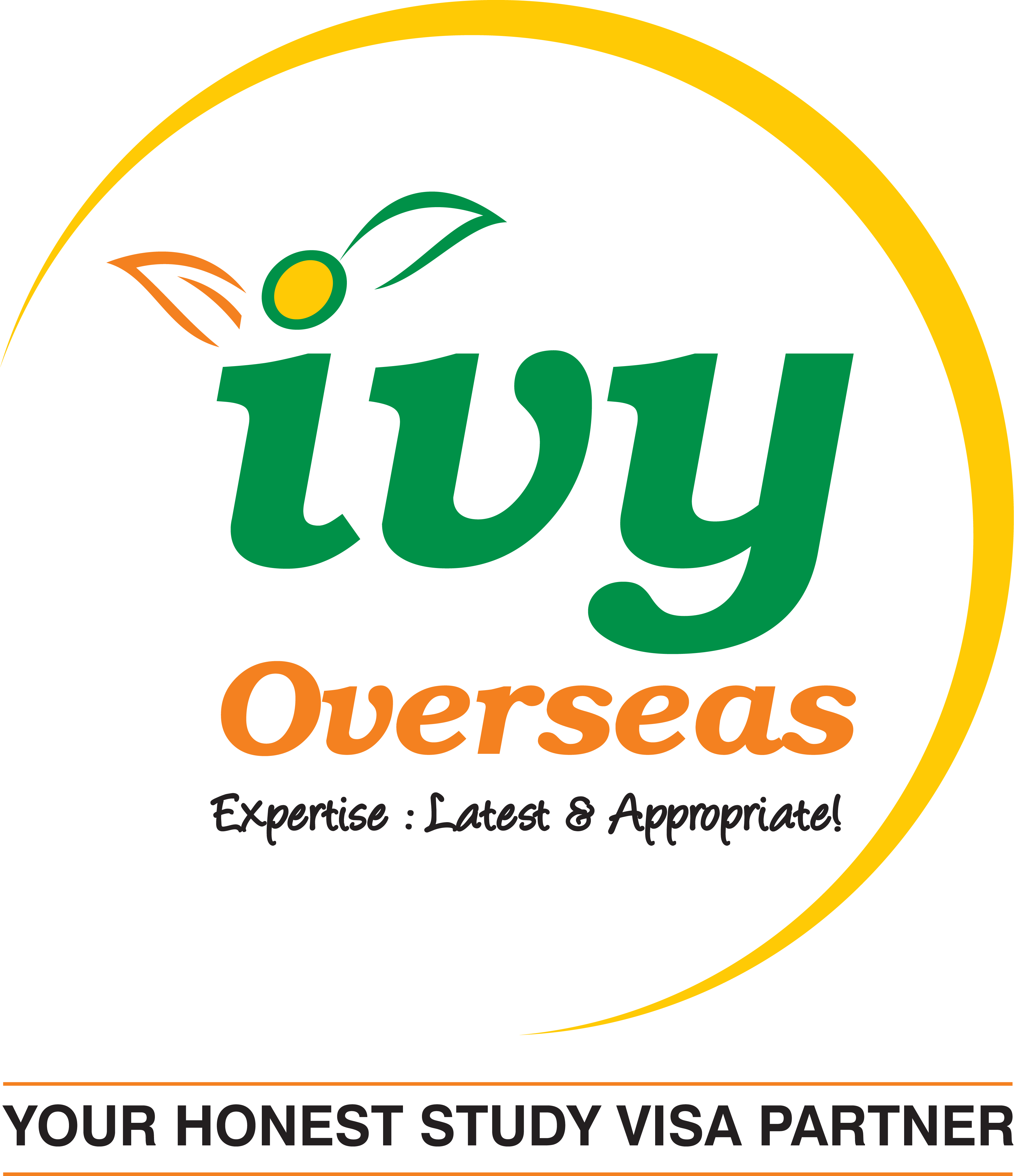 Best Overseas education consultants in Hyderabad