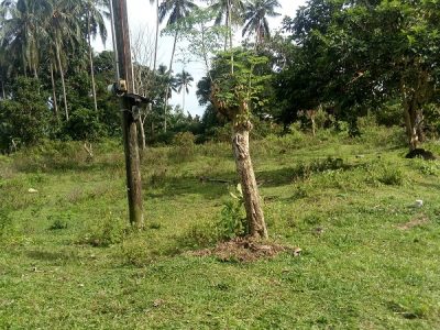 Valencia, Negors Oriental Lots For Sale