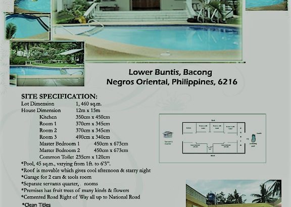 Property for Sale with Pool at Lower Buntis Bacong