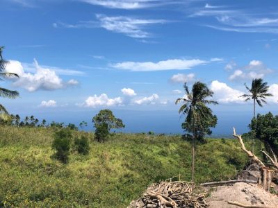 Dauin Ocean View Lots For Sale