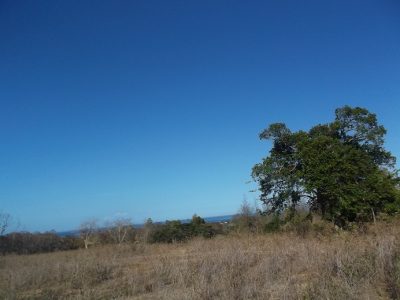OCEAN VIEW LOT FOR SALE AT THE BACK OF BRAVO GOLF HOTEL