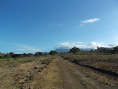 OCEAN VIEW LOT FOR SALE AT THE BACK OF BRAVO GOLF HOTEL
