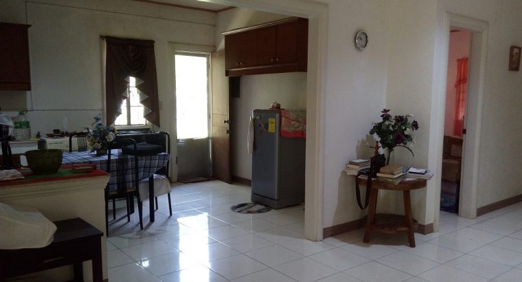 HOUSE AND LOT FOR SALE IN DUMAGUETE CITY
