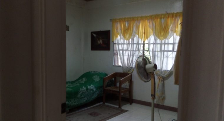 HOUSE AND LOT FOR SALE IN DUMAGUETE CITY