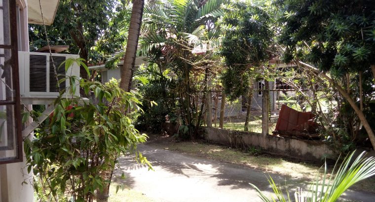 HOUSE AND LOT FOR SALE IN DUMAGUETE CITY