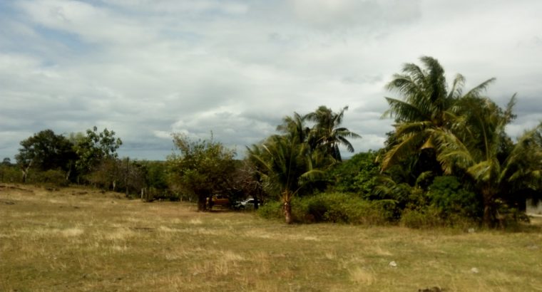 OCEAN VIEW LOT FOR SALE IN ZAMBOANGUITA