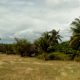 OCEAN VIEW LOT FOR SALE IN ZAMBOANGUITA