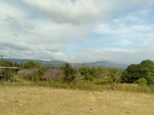 OCEAN VIEW LOT FOR SALE IN ZAMBOANGUITA