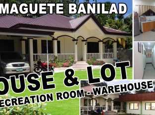 Dumaguete House, Lot and Warehouse for sale