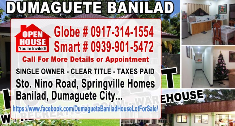 Dumaguete House, Lot and Warehouse for sale