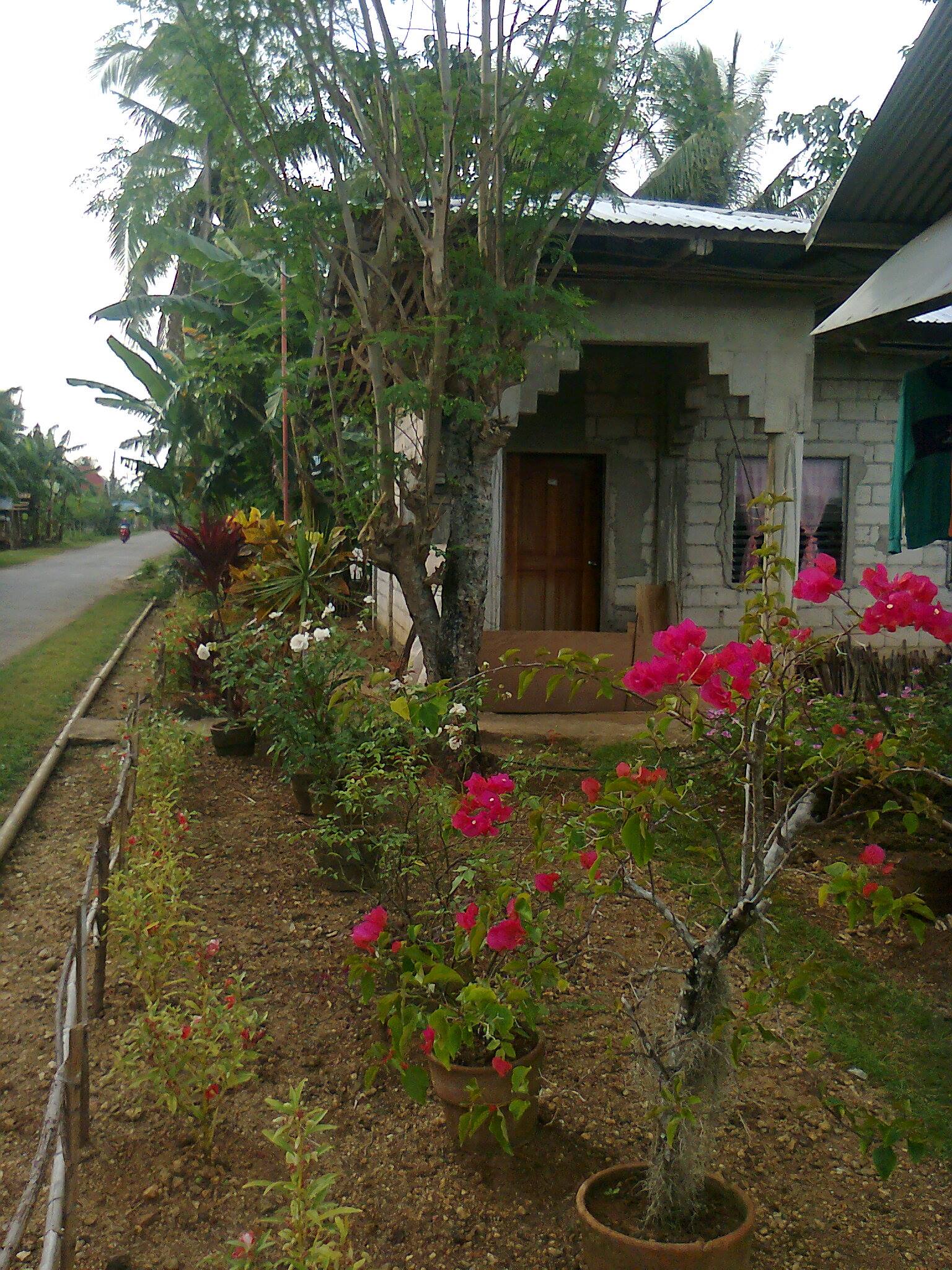 FIXER UPPER HOUSE FOR SALE | Dumaguete Info Classifieds