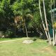 BEACH RESORT FOR SALE IN NEGROS