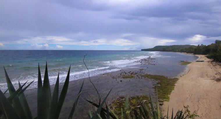 Siquijor Beach Side Lots for Sale