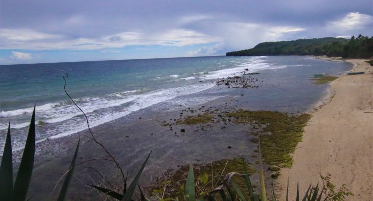 Siquijor Beach Side Lots for Sale