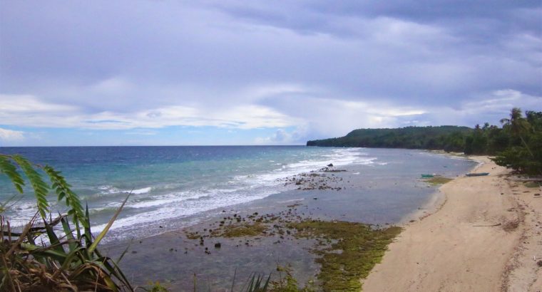 Siquijor Beach Side Lots for Sale