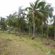 Siquijor Beach Side Lots for Sale