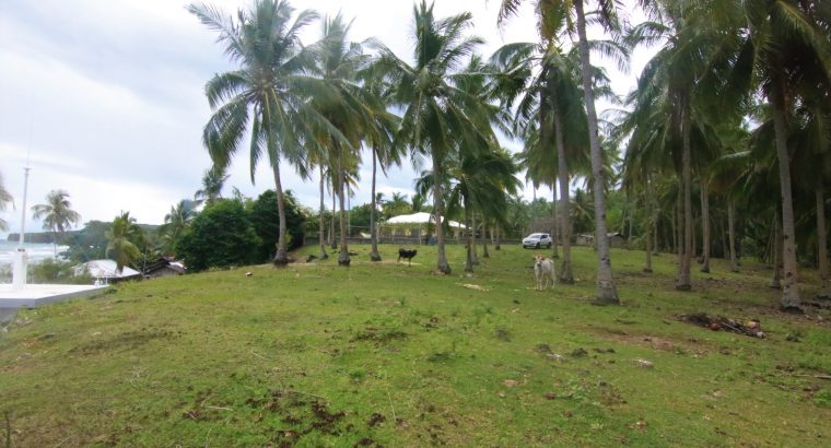 Siquijor Beach Side Lots for Sale