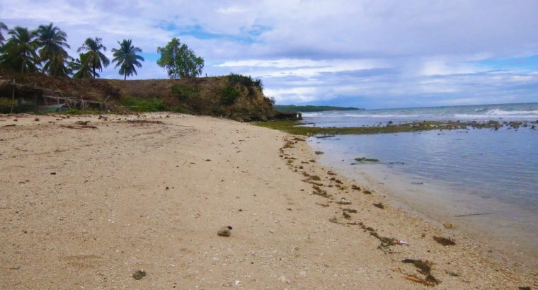 Siquijor Beach Side Lots for Sale