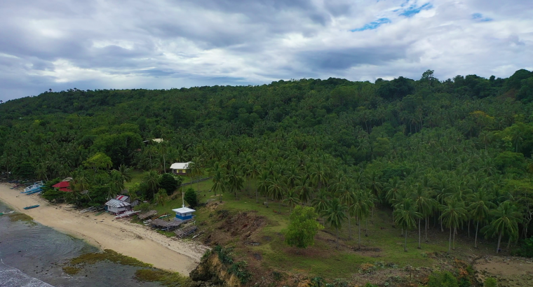 Siquijor Beach Side Lots for Sale