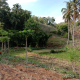 HOUSE AND LOT FOR SALE IN SIQUIJOR