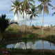 HOUSE AND LOT FOR SALE IN SIQUIJOR