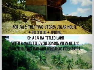 HOUSE AND LOT FOR SALE IN SIQUIJOR