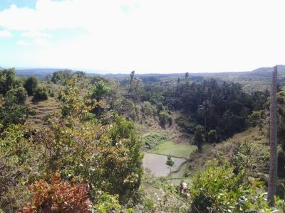 HOUSE AND LOT FOR SALE IN SIQUIJOR