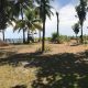 BEACHFRONT LOT AND HOUSE FOR SALE