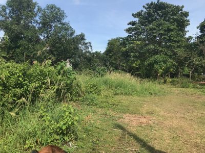 SMALL LOT FOR SALE IN DUMAGUETE CITY