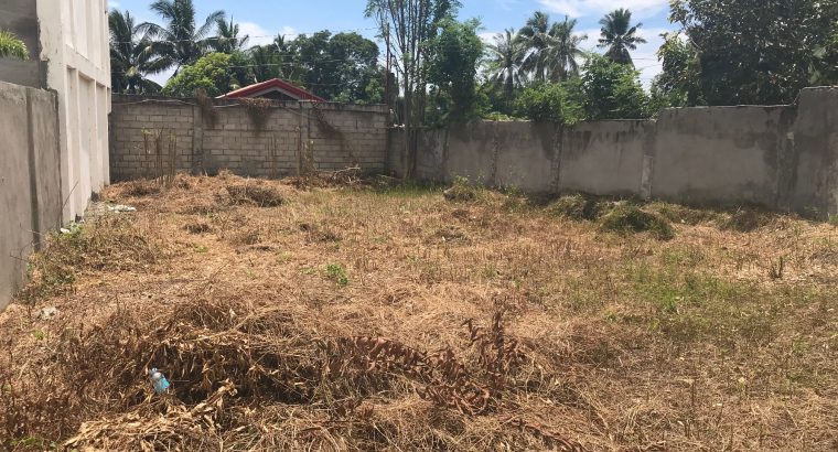 LOT FOR SALE IN A QUIET DEVELOPMENT IN BACONG