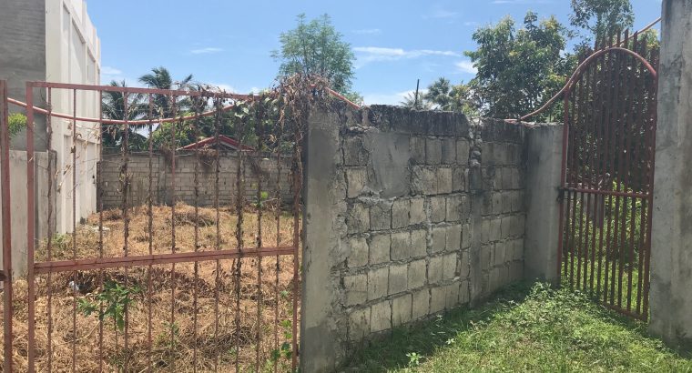 LOT FOR SALE IN A QUIET DEVELOPMENT IN BACONG